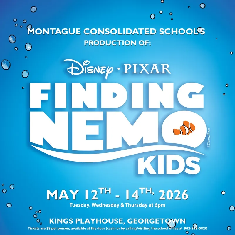 Finding Nemo Kids