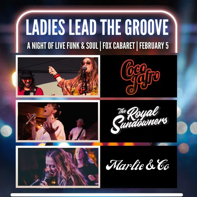 LADIES LEAD THE GROOVE - Funk & Soul