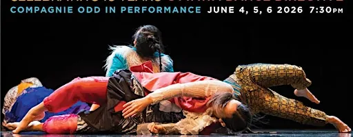 OTTAWA DANCE DIRECTIVE 15 YEARS à Ottawa Dance Directive / ODD BOX / Arts Court