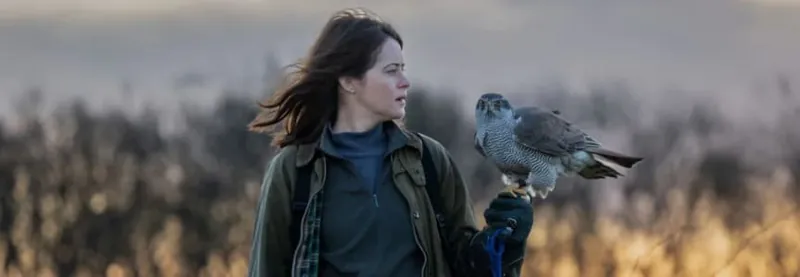 H is for Hawk
