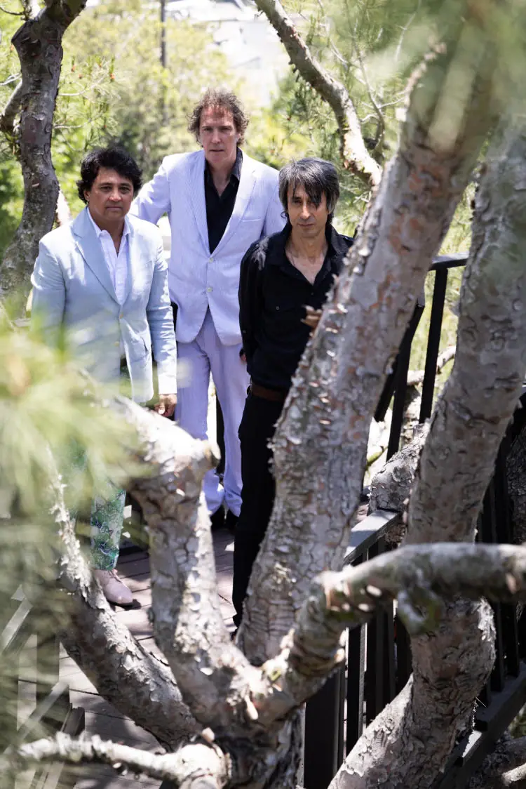 THE SADIES