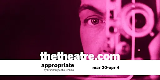 theatre: appropriate by branden jacobs-jenkins at The Theatre