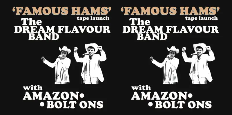 The Dream Flavour Band tape launch at Grace Darling Hotel