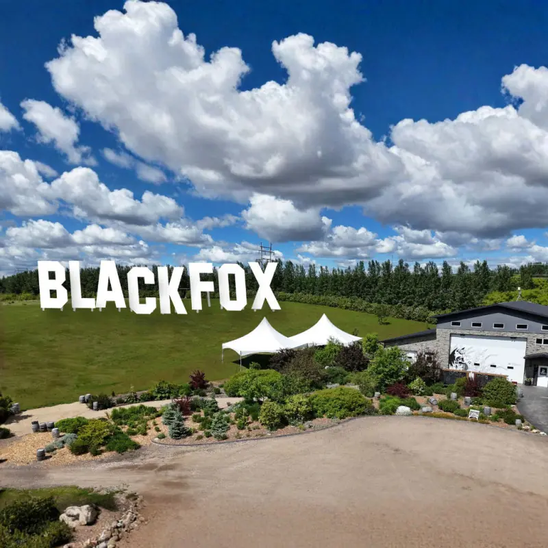 Summer Sounds At Black Fox, Powered by ATB Wealth à Black Fox Farm & Distillery