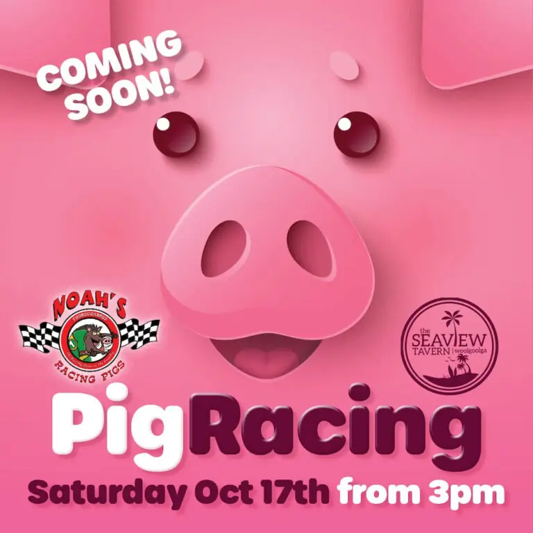 Pig Racing