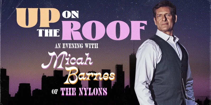 Micah Barnes Up On the Roof