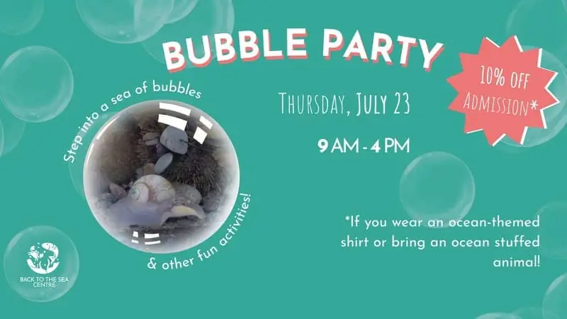 Bubble Party at the Back to the Sea Centre! 🫧 à Back to the Sea Centre