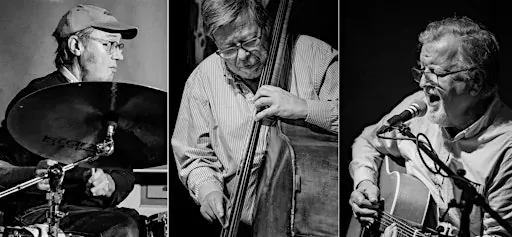 Larry Ayre Trio: From Rio to Chicago