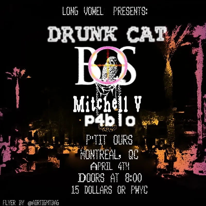 Long Vowel Shows presents: Drunk Cat, Bridge of Sand, Mitchel V, & p4blo