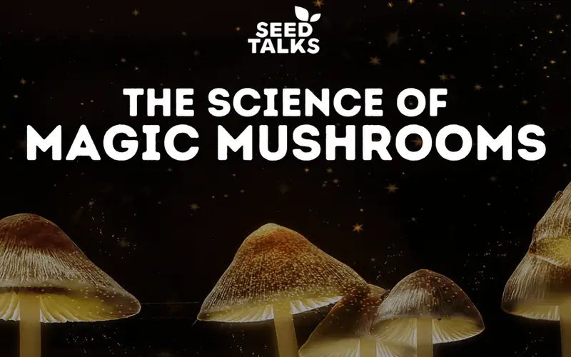 Seed Talks - The Science of Magic Mushrooms at The Lemon Tree