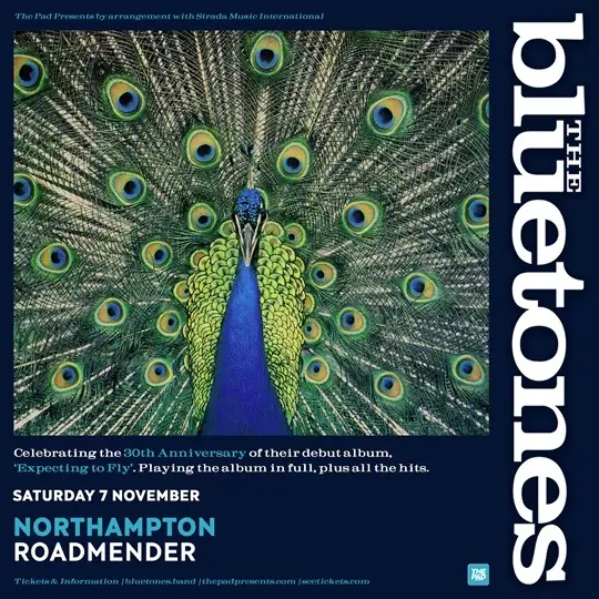 THE BLUETONES à Roadmender