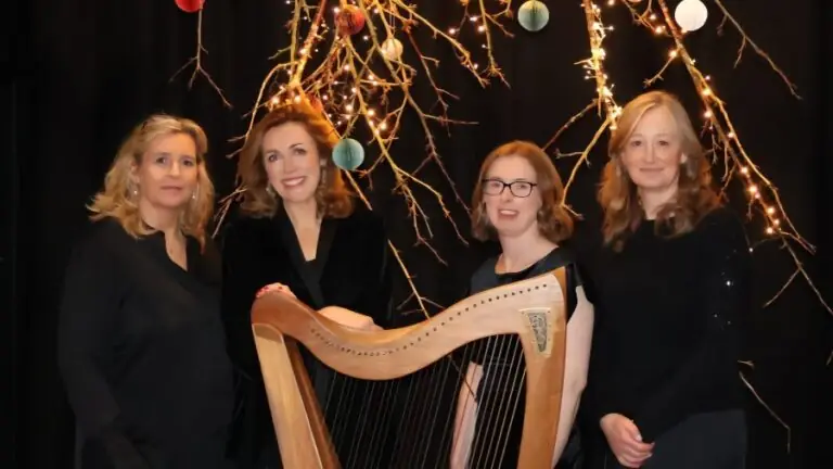 Highly Strung: All Wrapped Up à Riverbank Arts Centre