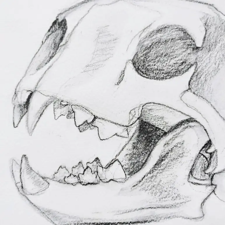 Intermediate Drawing
