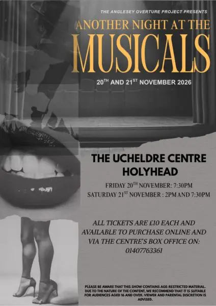 Another Night at the Musicals à Ucheldre Centre