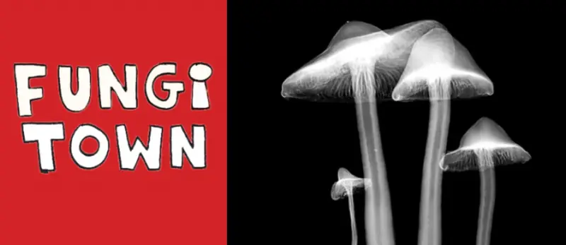 Fungi Town Festival: How Can Mushrooms Help Clean Up The River Wye? à The Globe