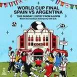 SPAIN VS ARGENTINA (WORLD CUP FINAL)