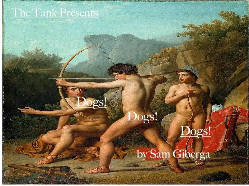 Dogs! Dogs! Dogs! at The Tank