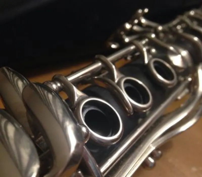 Meet the Woodwinds! Regina Musical Club