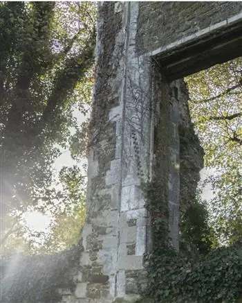 Guided Walk Of Betchworth Castle