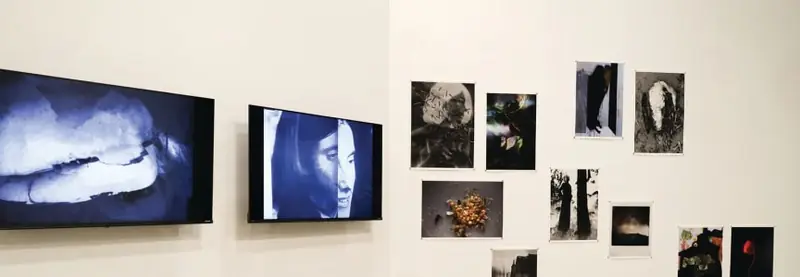 4th Annual Viva exhibition
