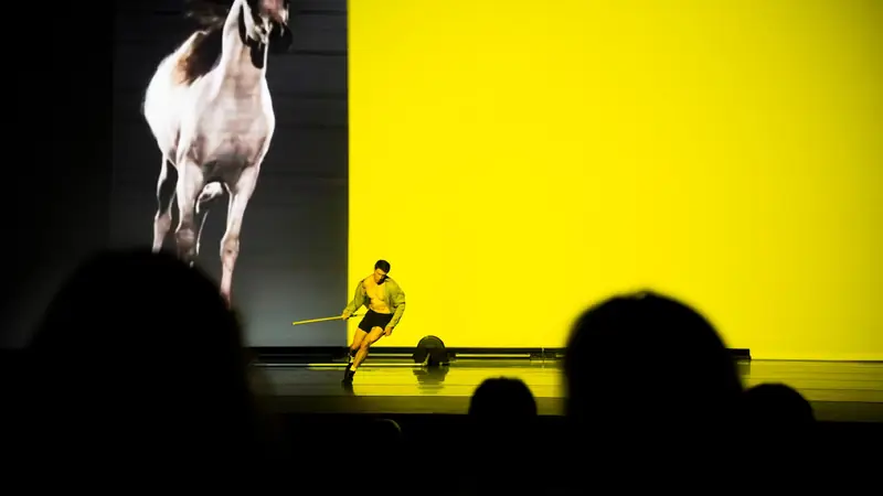 Perspectives: Perfume Genius & Kate Wallich - The Lesson at National Concert Hall