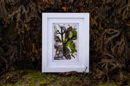 Kelly Hoyne at Droichead Arts Centre