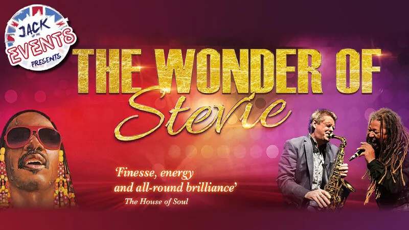 The Wonder of Stevie