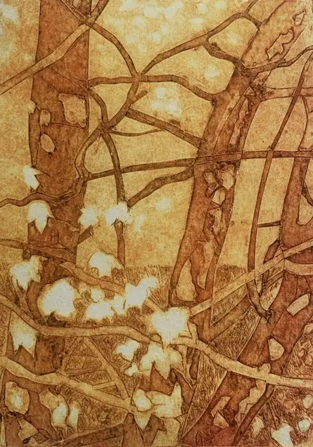 Artist Talk on the exhibition ‘Print & Process’ by Omagh Printmakers. en Strule Arts Centre