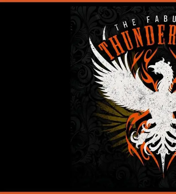 The Fabulous Thunderbirds