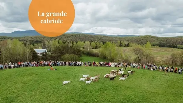 La Grande Cabriole