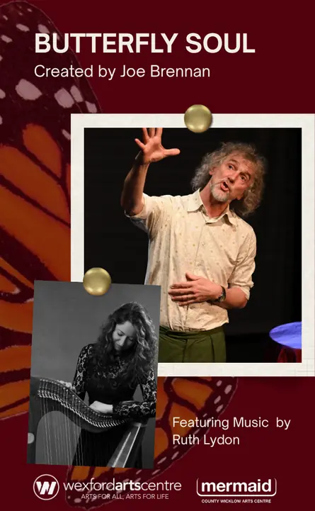 Butterfly Soul en Wexford Arts Centre