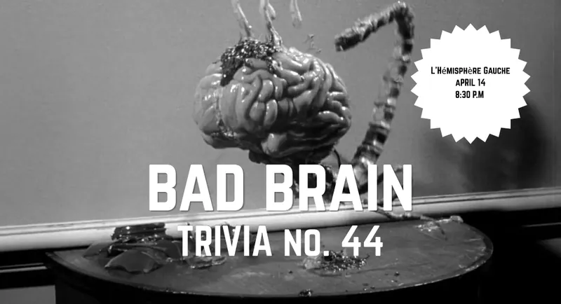 BAD BRAIN Trivia 44
