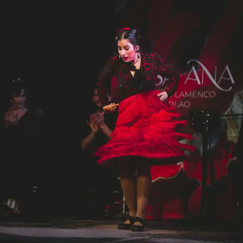 Espectáculo de Flamenco de Casa Ana en Tablao Flamenco Casa Ana Granada