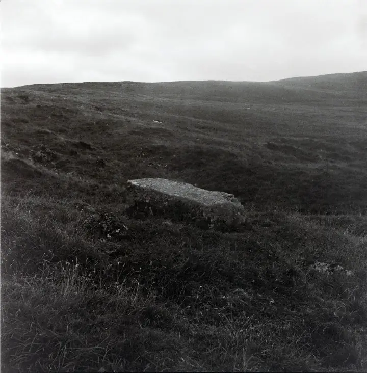 A Creative Celebration of the Omeath Seaweed Industry in the Cooley Mountains at Creative Spark