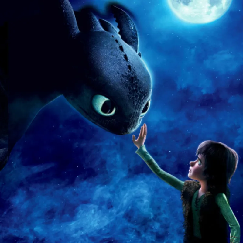 How to Train Your Dragon