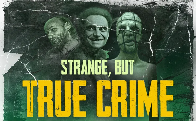 Strange, But True Crimes