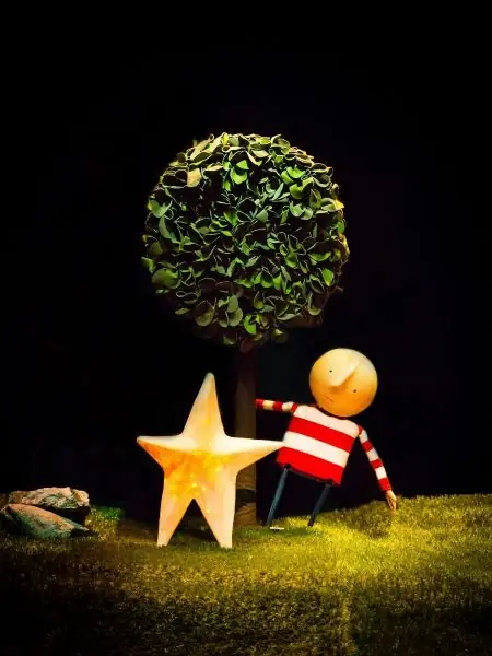 How to Catch a Star