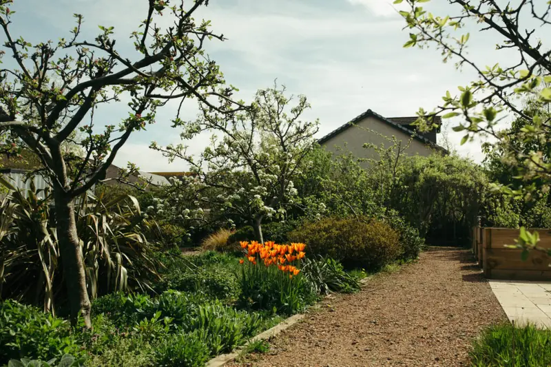 Garden Sessions for Adults at North Edinburgh Arts