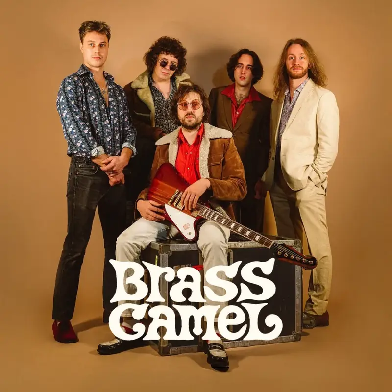 Brass Camel
