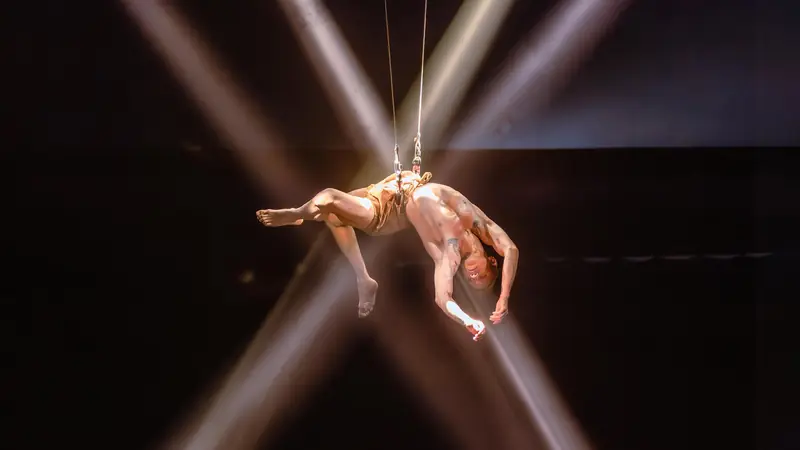 Festival Internacional del Circo Actual at Teatro de la Ciudad Esperanza Iris
