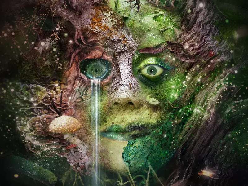 Bryony Kimmings – Bog Witch