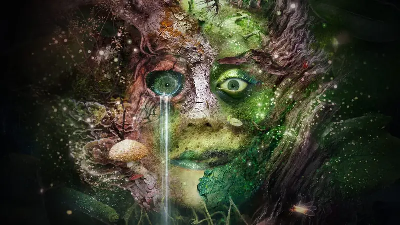 Bog Witch