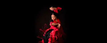Espectáculo Flamenco at Tablao Flamenco Sala Temple