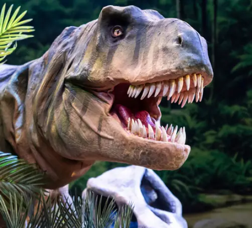 Natural History Museum Presents Dinosaurs Live!