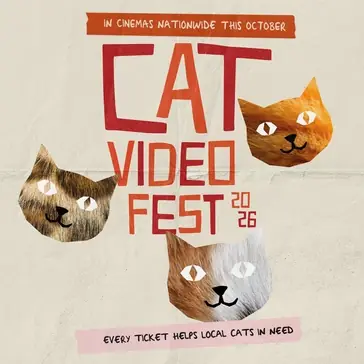 CatVideoFest