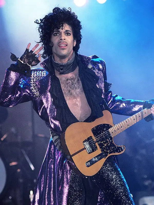 Taproom Tribute to Prince at Shedshaker Brewing Company