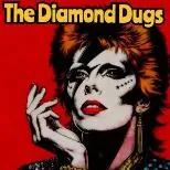 The Diamond Dugs Present: The Music of David Bowie at Sneaky Pete's