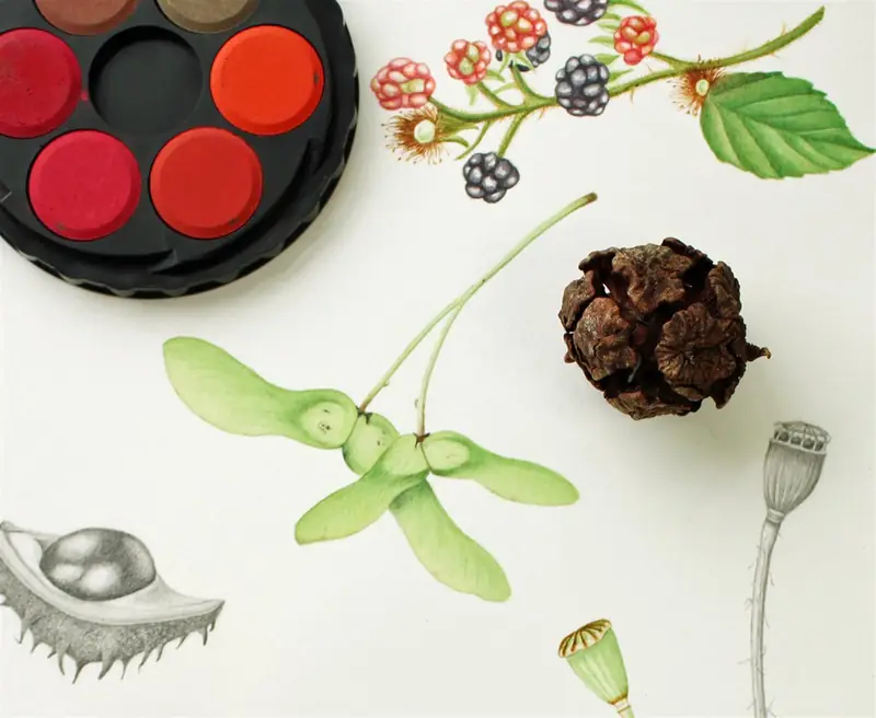 BOTANICAL WATERCOLOUR PM aw26 à Island Arts Centre