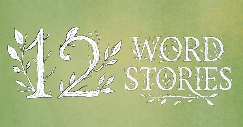 12-Word Stories