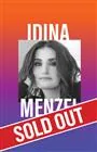 Idina Menzel Berkshire Benefit Concert at The Colonial Theatre